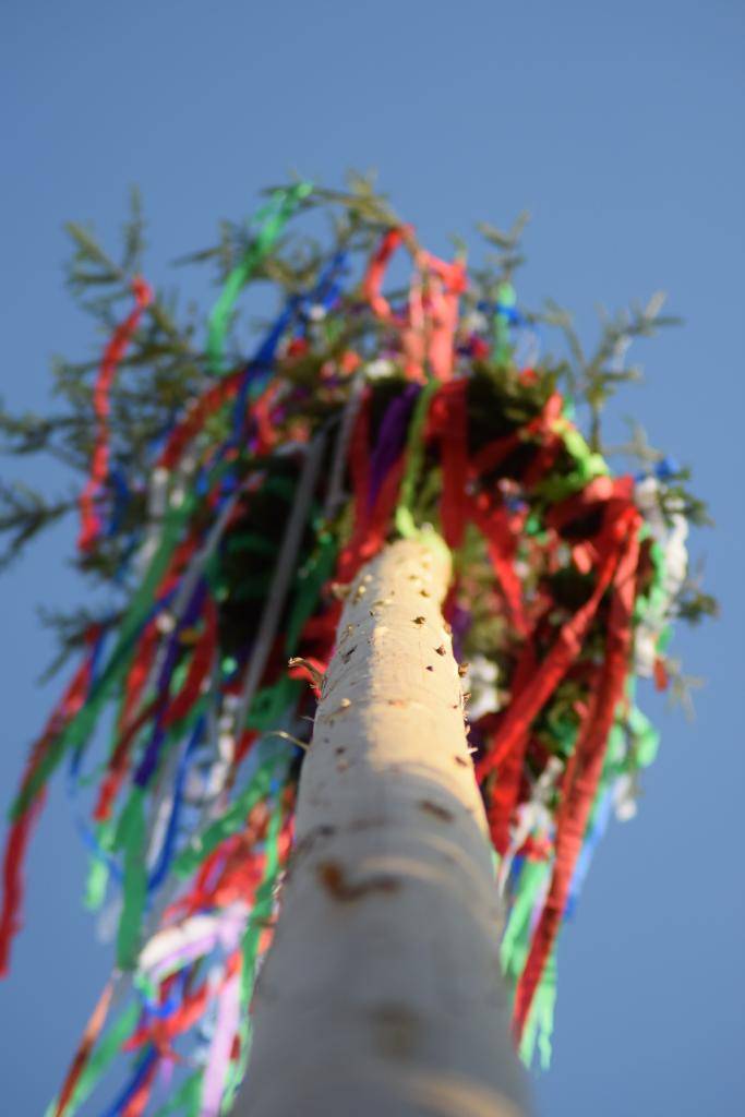 Pálení čarodějnic ,stavění máje