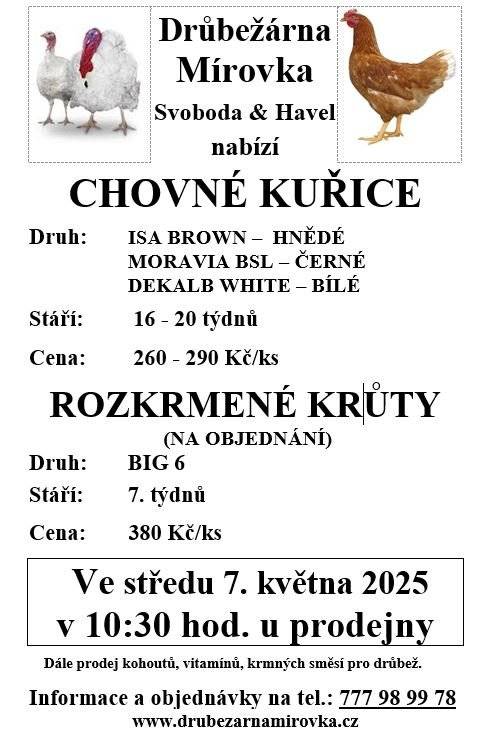 Prodej kuřic ve středu 7. 5. v 10.30 u prodejny - Drubežárna Mírovka.