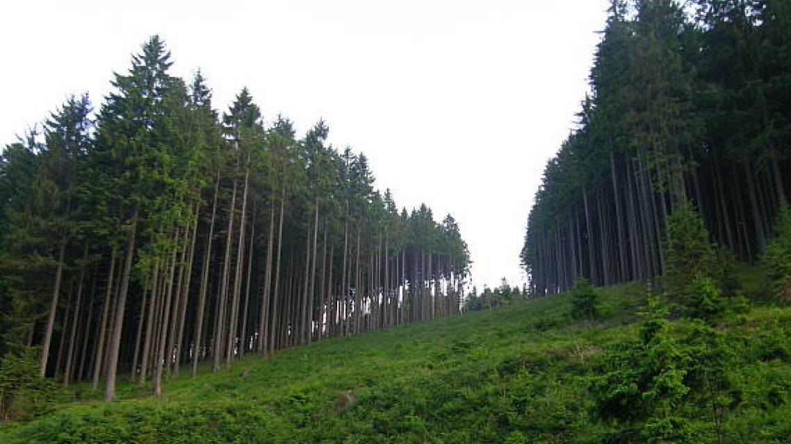 oznámenie o úmysle vydať rozhodnutie vo veci povolenia zmeny hraníc JPRL