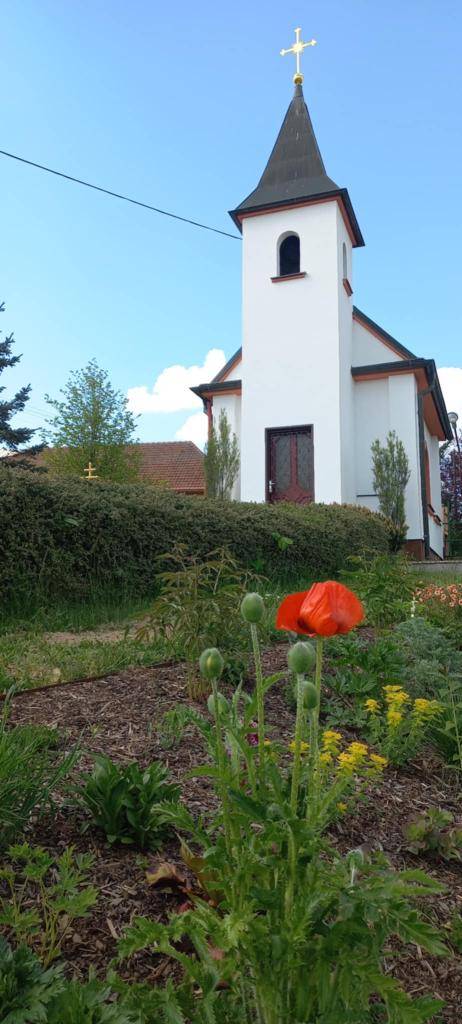 Rozkvetlá Kaplička v Miřeticích