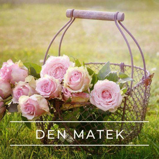 Obec Pohledy srdečně zve na den matek.  V sobotu 17.5.2025 od 15,00hod ve Společenském domě v Pohledech.