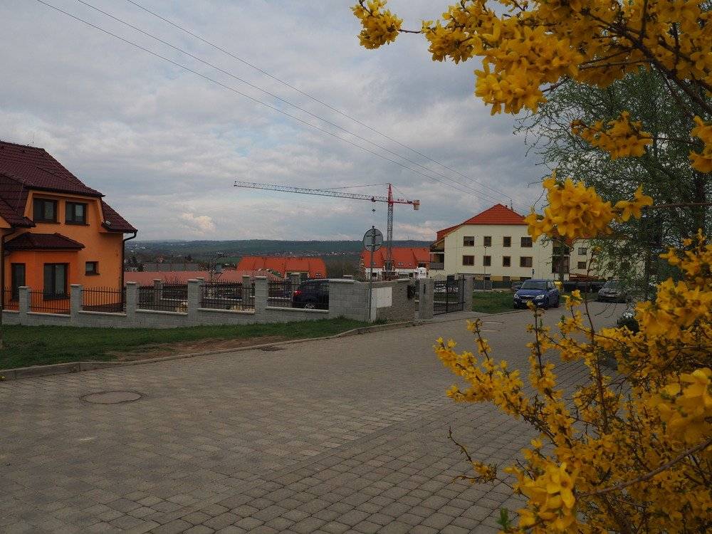 Jaro v Holubicích 6.4.