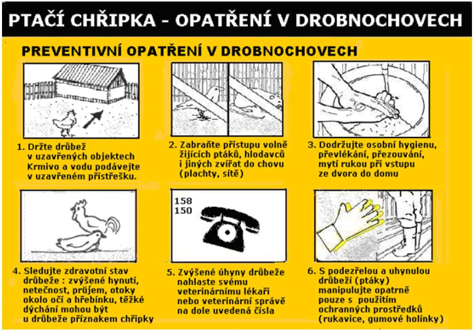 V naší osadě Ředice máme potvrzený výskyt ptačí chřipky.Proto se přísně zakazuje volný pohyb drůbeže ve všech osadách obce Nechvalice.