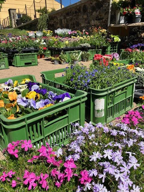 od 8-12 pod zámkem u řeky