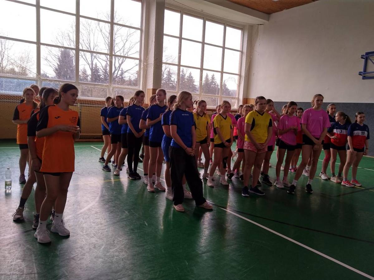 Ve středu se naše žákyně z druhého stupně zúčastnily okresního kola v přehazované.