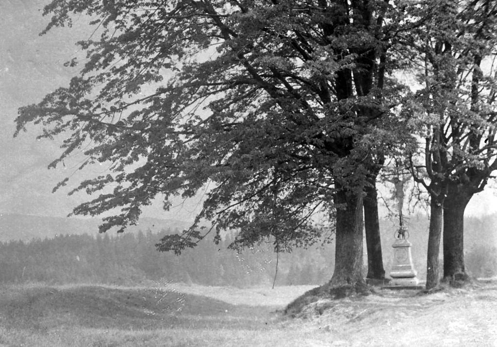 Dnes byla na dárcovském webu Nadace Via spuštěna kampaň za znovuobnovení drobné sakrální památky z roku 1798, tzv. Toffels Kreuz.