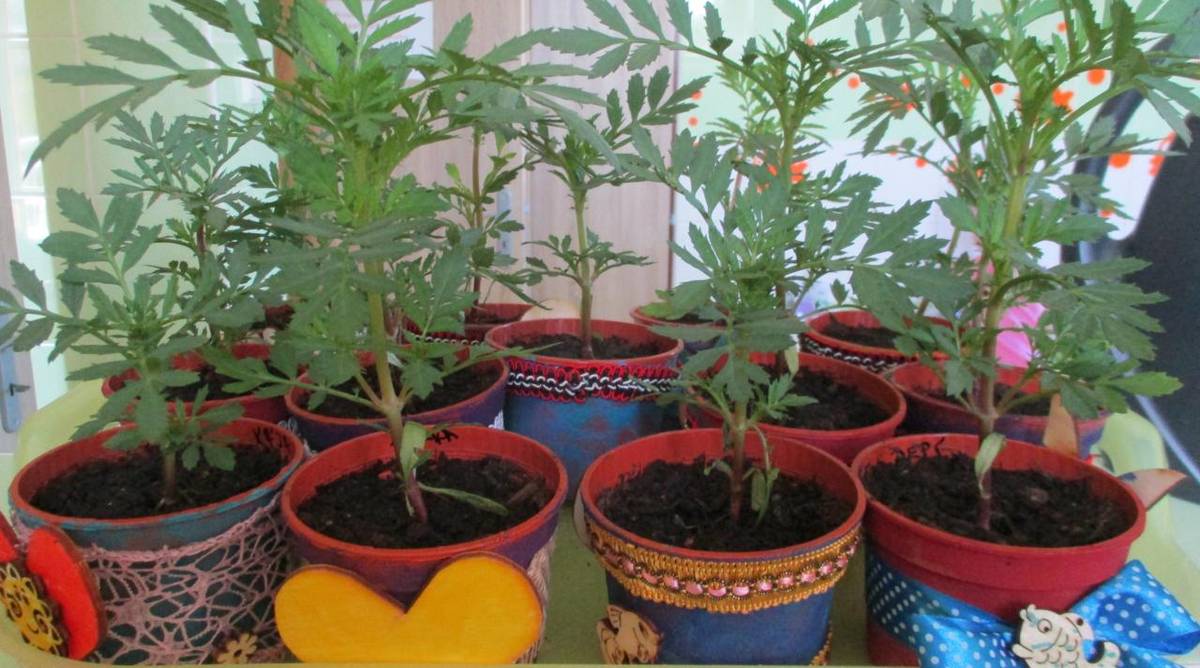 "Moje maminka má svátek" - dárek pro maminku