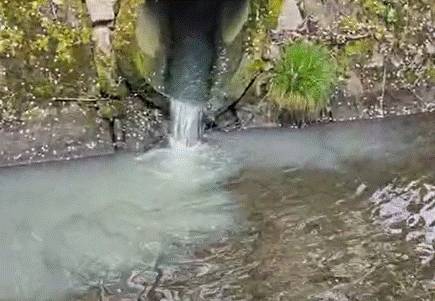 Byly zaznamenány podněty ohledně vypouštění neznámé látky do Bouřlivce pod čistírnou.