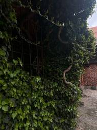 Právě oni zde ve 13. století vystavěli největší cihlový hrad na světě - Malbork - coby své hlavní sídlo.