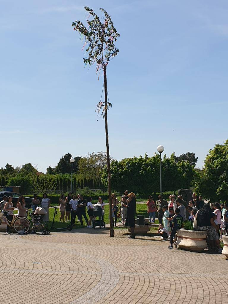 Stavanie mája je krásna a stále živá tradícia u nás v obci Šarovce, spojená s príchodom jari a prebúdzaním prírody. Stavanie mája býva spojené s kultúrnym programom , vystúpeniami detí a žiakov Základnej školy s materskou školou, čím sa stáva spoločenskou udalosťou pre všetkých obyvateľov.