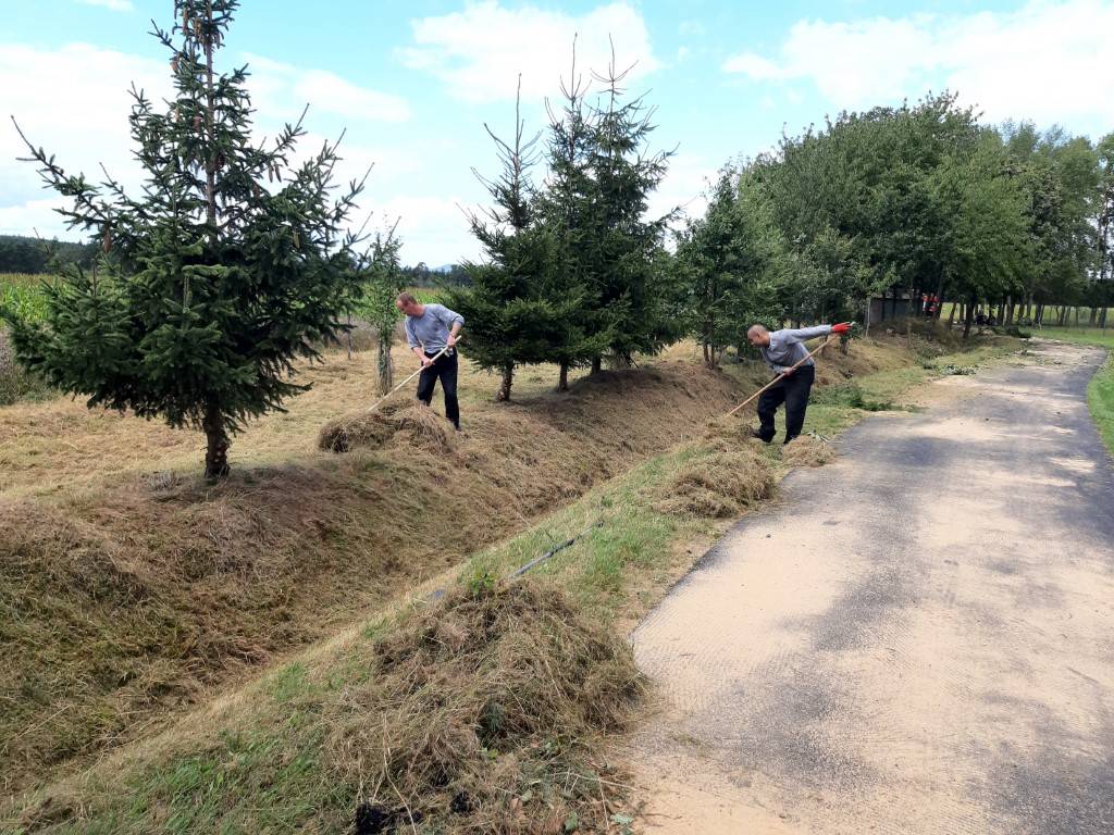 V polovině měsíce srpna proběhla v katastru naší obce další řízená extramurální aktivita, které se účastnilo 10 odsouzených a 2 zaměstnanci Věznice Plzeň. Tentokrát se jednalo o vyřezávání náletových rostlin a sečení staré trávy v bezprostřední blízkosti obce.