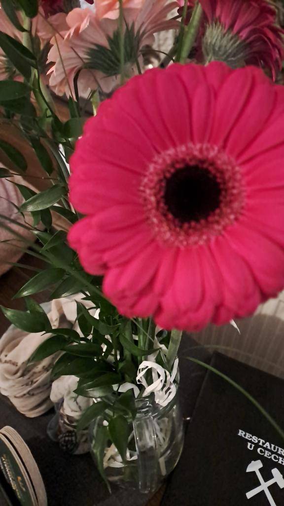 MDŽ s proměnou od kosmetičky a kadeřnice