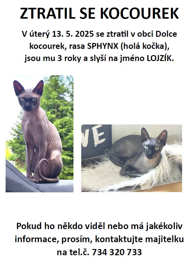 V úterý 13. 5. 2025 se ztratil v obci Dolce kocourek, rasa SPHYNX (holá kočka),