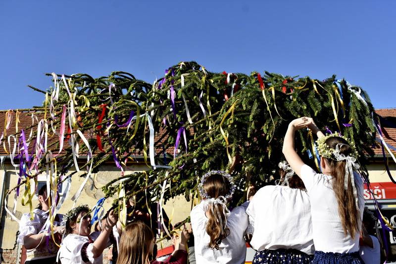 Dňa 1. mája 2025 sa na námestí uskutočnilo stavanie mája. Tento sviatočný deň nám spríjemnili deti zo Spojenej školy Dolný Pial - speváčky krúžok a tanečný krúžok klások.  Fotografie za akcie sú priložené vo fotogalérii