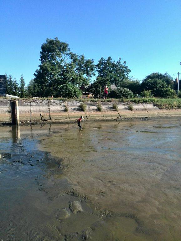 Čištění rybníka - Bezvěrov 8⁄2015