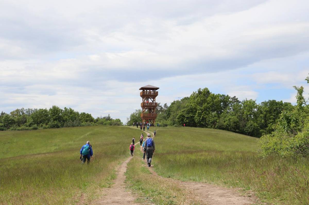 50.ročník Májový pochod vďaky konaný dňa 10.05.2025