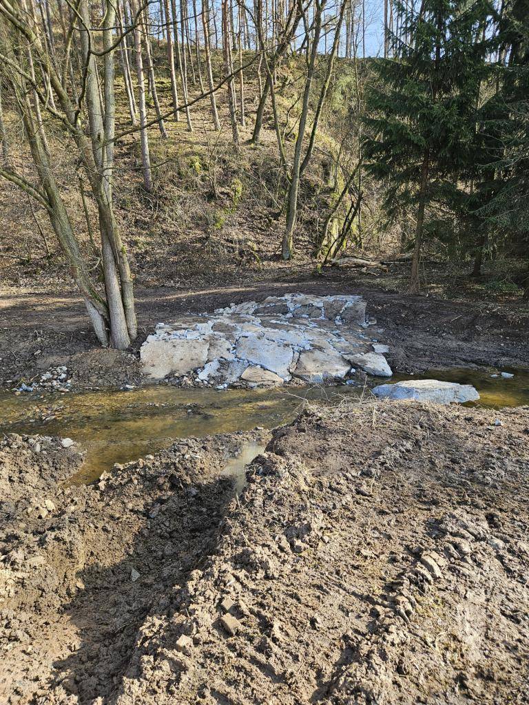 Tůň na Srbickém potoce - Obnova vodní plochy parc. č. 811 v k. ú. Horní Kamenice u Staňkova