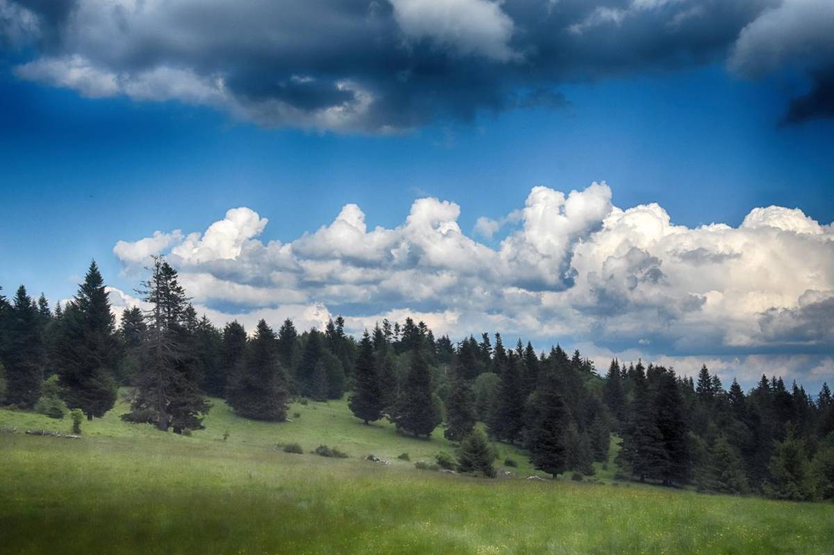 Obec Horné Pršany v spolupráci s Klubom slovenských turistov TURISTA Horné Pršany Vás pozýva na 17.ročník „Hornopršianskeho turičného prechodu Kremnickými vrchmi“ dňa 31.mája 2025 /sobota/