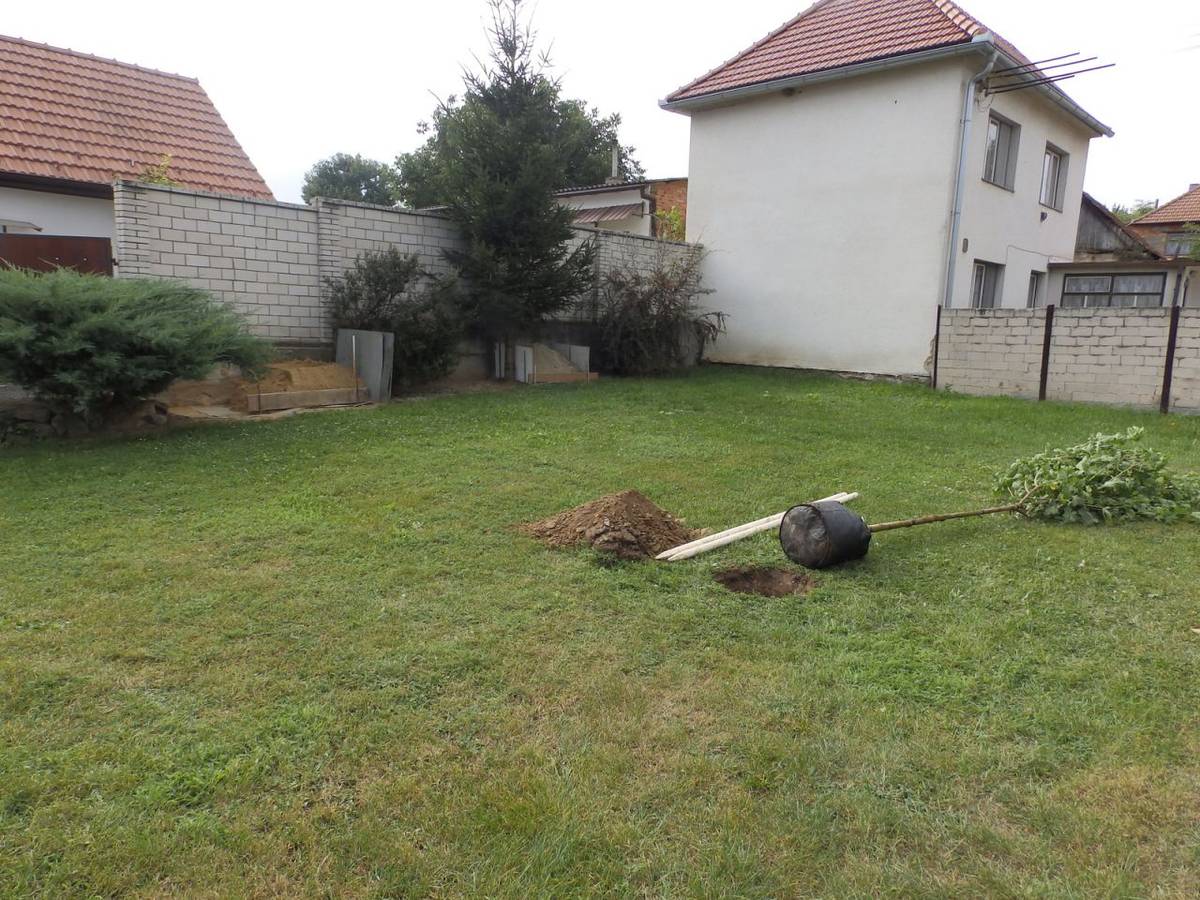 Výsadba moruší v rámci akce "Stromy s pamětí"