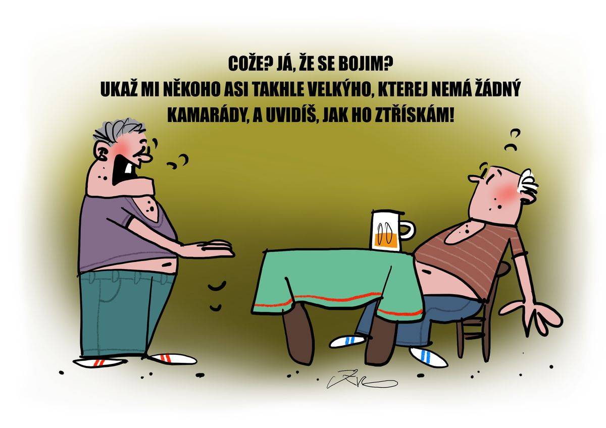 Typický český nebojsa