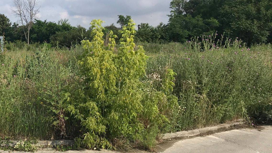 Upozornenie pre vlastníkov nehnuteľností