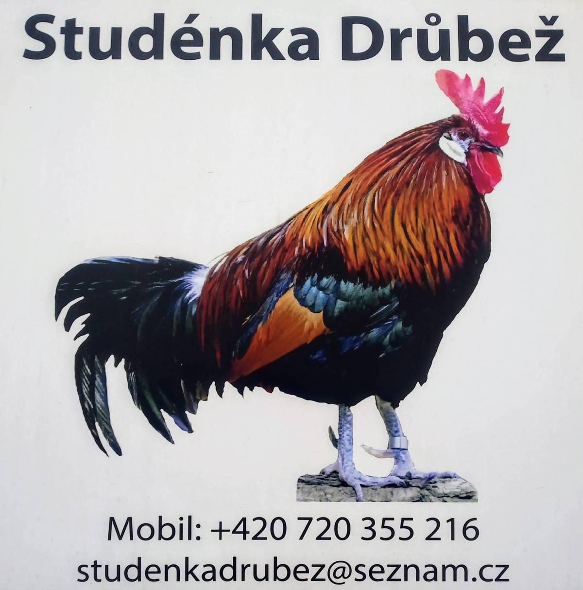 Studénka Drůbež bude v Horní Lidči na parkovišti u Jednoty v sobotu 24.5.2025 v čase 10:00-10:15.   Nabízí k prodeji :  kuřice různých barev roční slepice 100kč chovné kohouty krůty husokačeny  kačeny  krmné směsi a vitamíny.         Studénka Drůbež   Butovická 126 Studénka 742 13 tel. 720 355 216