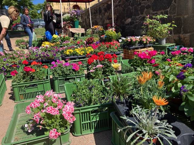 u řeky pod zámkem od 8-12 hodi