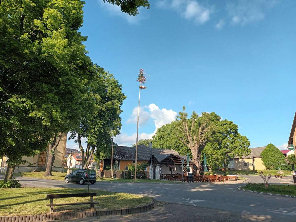 Letošní Májové oslavy jsme zahájili v úterý 6.května 2025 tradičně přípravou, zdobením a stavbou májky ...