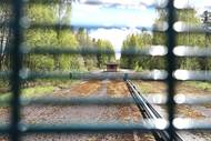 V reakci na to Helsinky uzavřely všech osm hraničních přechodů pro cestující na dobu neurčitou. Od té doby už Finové na hranici prakticky žádné migranty nezaznamenali.