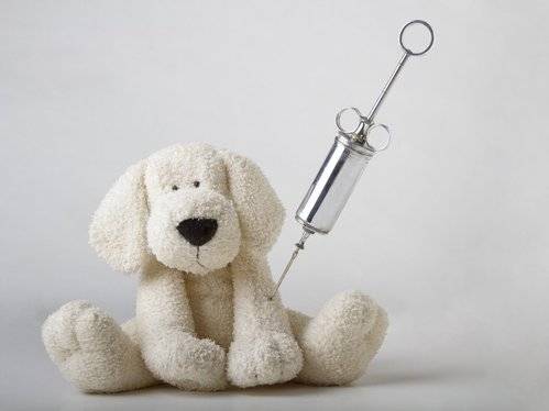 Veterinář Pavel Maňák přijede do naší obce očkovat psy proti vzteklině, popřípadě jiným nakažlivým chorobám a to ve čtvrtek 29. května. Očkování proběhne od 17:00 hod v Rybníčku, cca od 17:30 hod v Újezdě u obecního úřadu, poté u hostince u Hladišů a následně v Haukovicích. Cena za povinné očkování proti vzteklině je 200 Kč. Kompletní očkování za 400,- Kč.