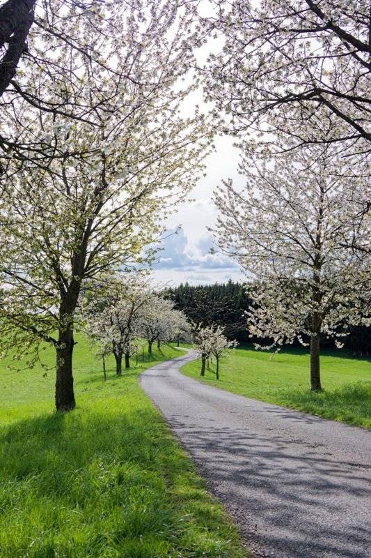 Jednání zastupitelstva 27.5.2025 od 18 hod. Společný běh pořádaný školou 30.5.2025 od 17 hod. Blešák Nekoř 31.5.2025 od 14 hod. Toulání kolem Orlice start od 7:30 do 10:00