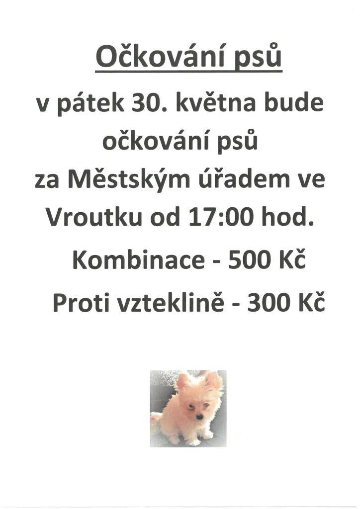 30.5.2025 očkování psů za MěÚ Vroutek