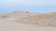 Ford trip, Duna du Pyla