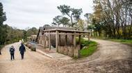 Ford trip, Duna du Pyla