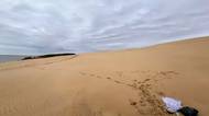 Ford trip, Duna du Pyla