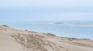 Ford trip, Duna du Pyla