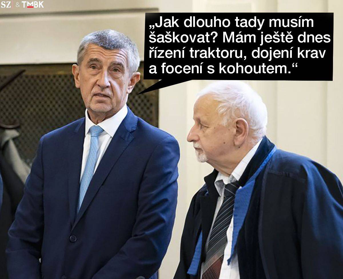 U pražského vrchního soudu začal v pondělí druhý odvolací soudní proces v kauze Čapí hnízdo, ve které čelí obžalobě Babiš společně s europoslankyní ANO Janou Nagyovou. Bývalý premiér ovšem zároveň kampaňuje! Koláž TMBK pro SZ.