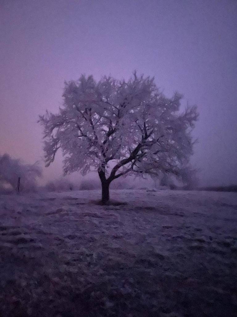 Novoroční výšlap na Světlou 1. 1. 2025