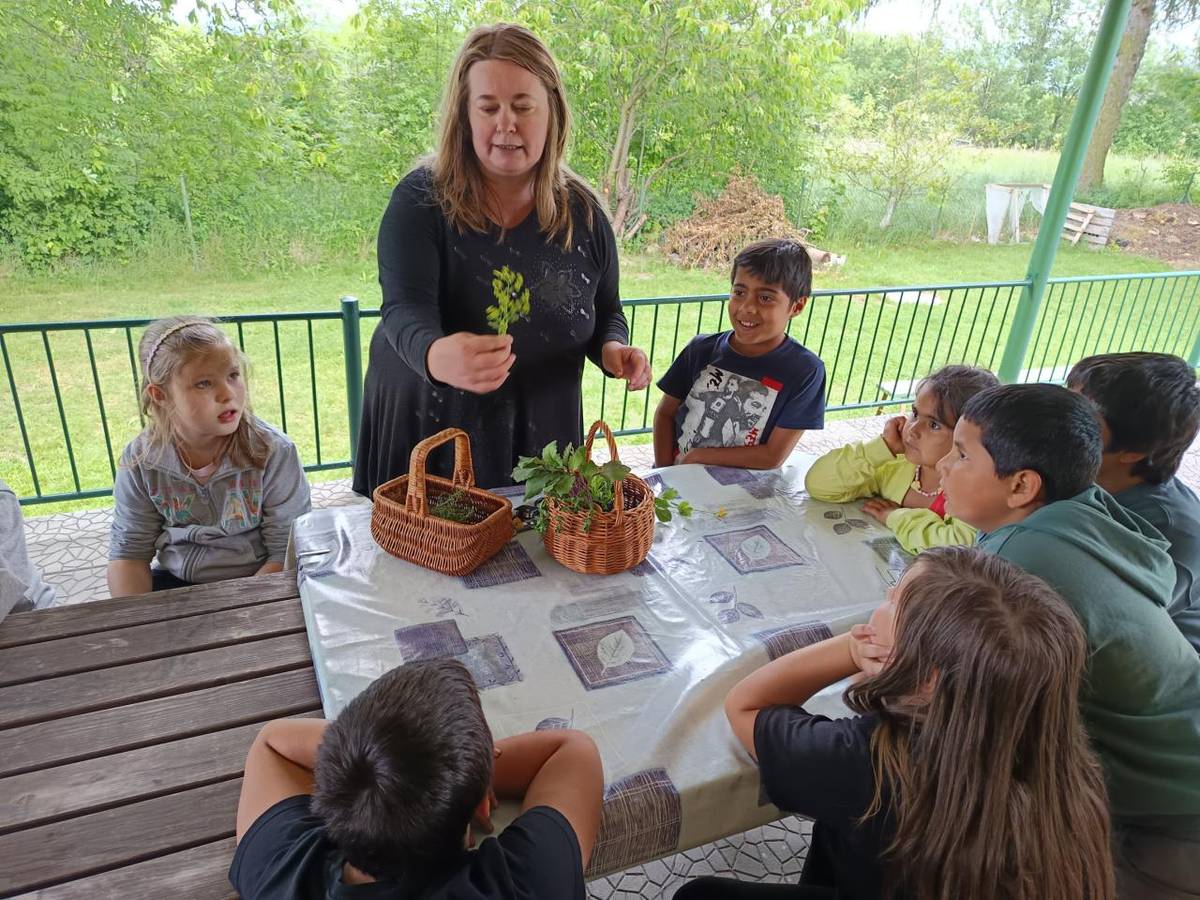Za tajemstvím košíku babky kořenářky - procházka s poznáváním léčivých rostlin, výroba bylinkové soli, péče o bylinkovou zahrádku, výsadba rostlin.