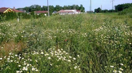 Zaburinenie pozemkov - upozornenie