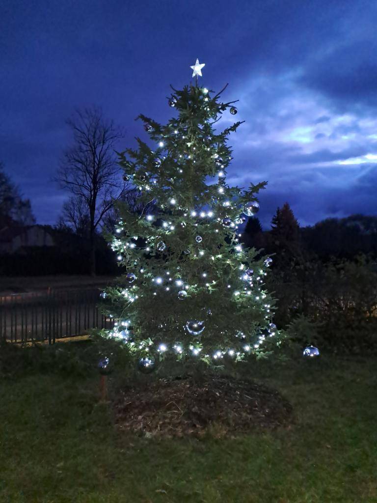 Rozsvícení vánočního stromečku