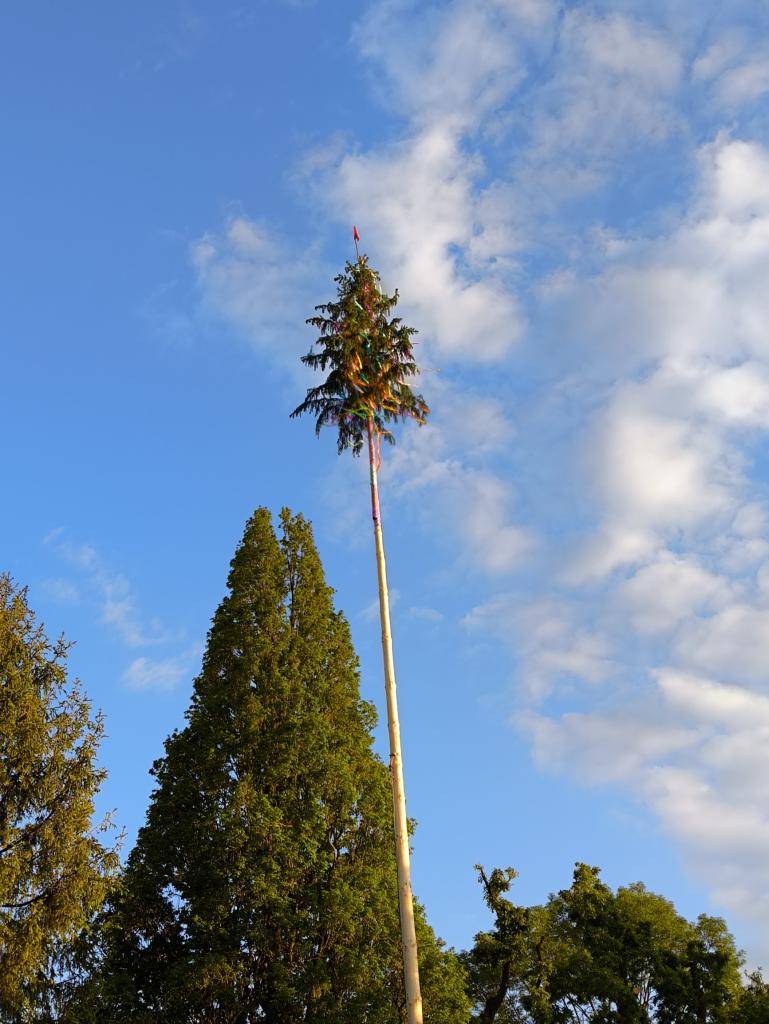 V sobotu 24. května 2025 se na výletišti v parku v Malhoticích konalo tradiční Kácení máje, které uspořádal Sbor dobrovolných hasičů Malhotice. Odpolední program zahájily děti z Mateřské školy Malhotice, následovalo vystoupení skupiny Prostě Cirkus.