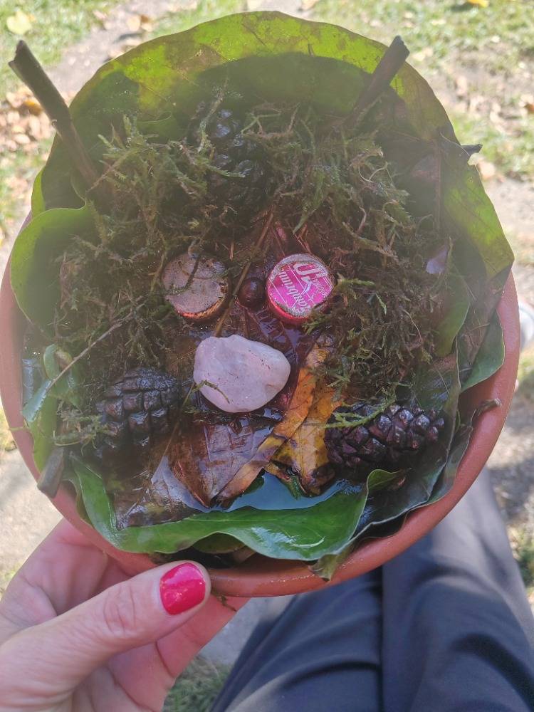 Volnočasová aktivita