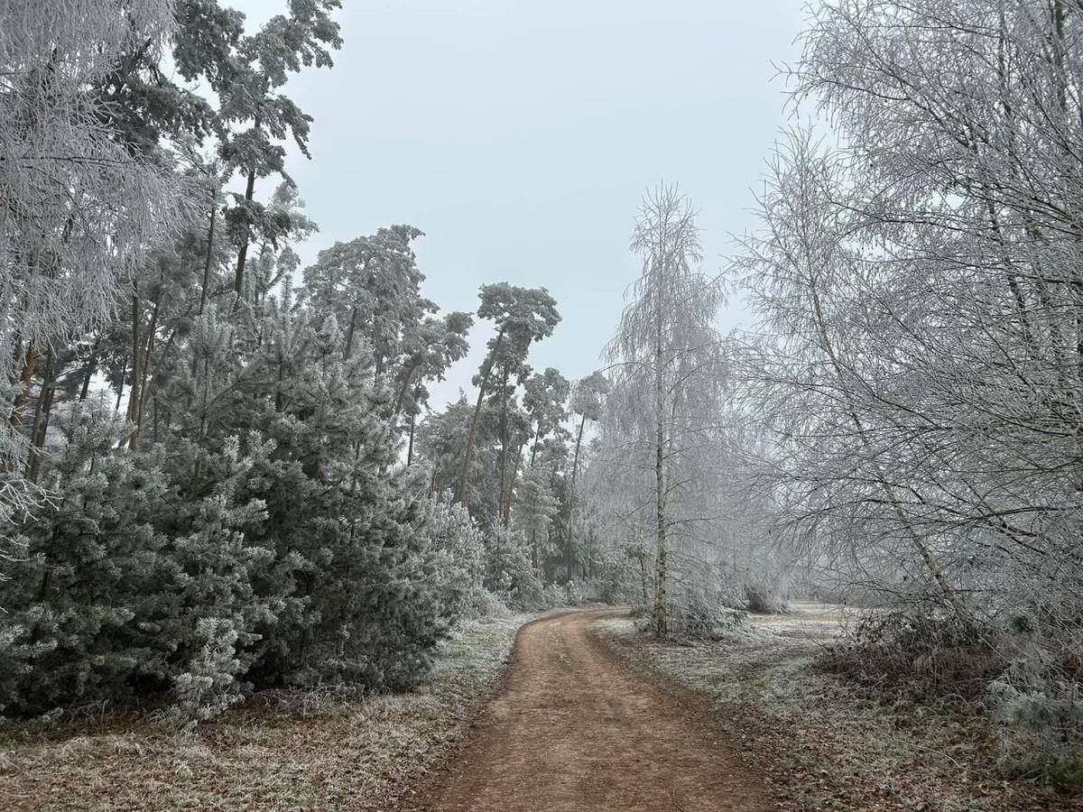 Silvestrtour 2024 - 7.ročník