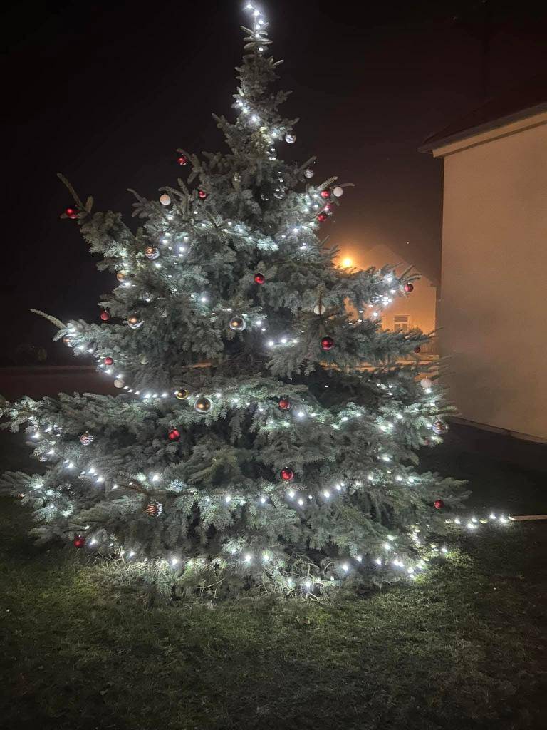 Děkujeme za vaši hojnou účast, dotvoření příjemné předvánoční atmosféry i za vaše příspěvky na adventní raut. Zde je malé ohlédnutí