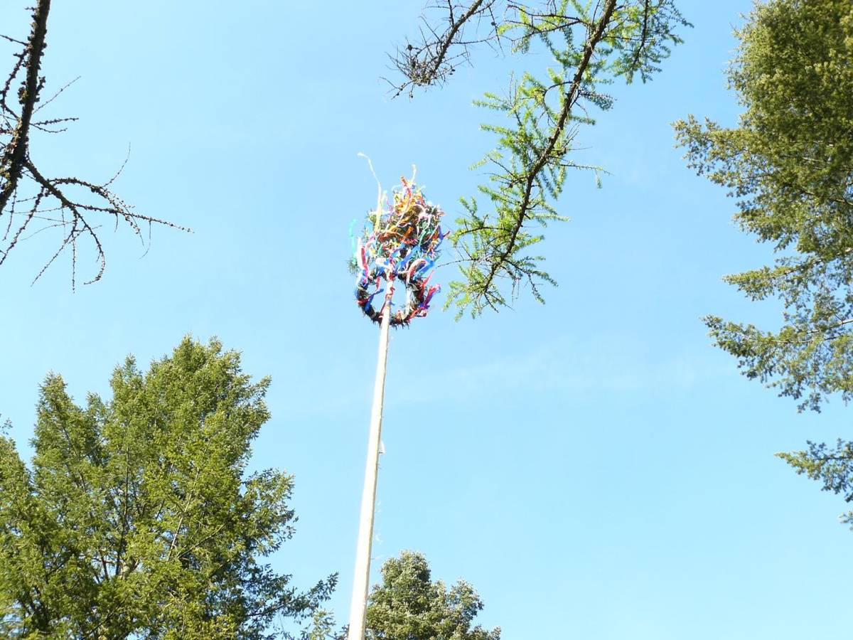 Stavění májky v Nové Vsi nad Lužnicí