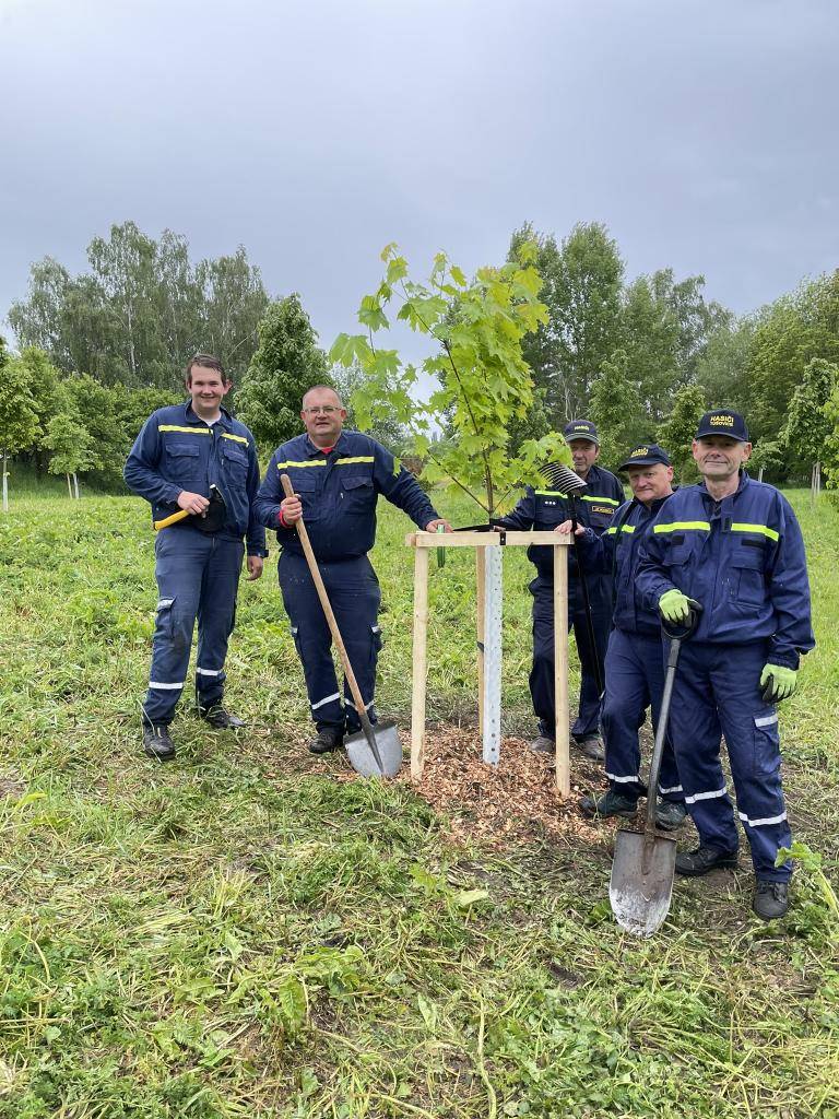 Místní hasiči přijali výzvu kamarádů z Kozárovic a v neděli 18.5.2025 zasadili 3 nové stromy. Tak ať rostou!!!