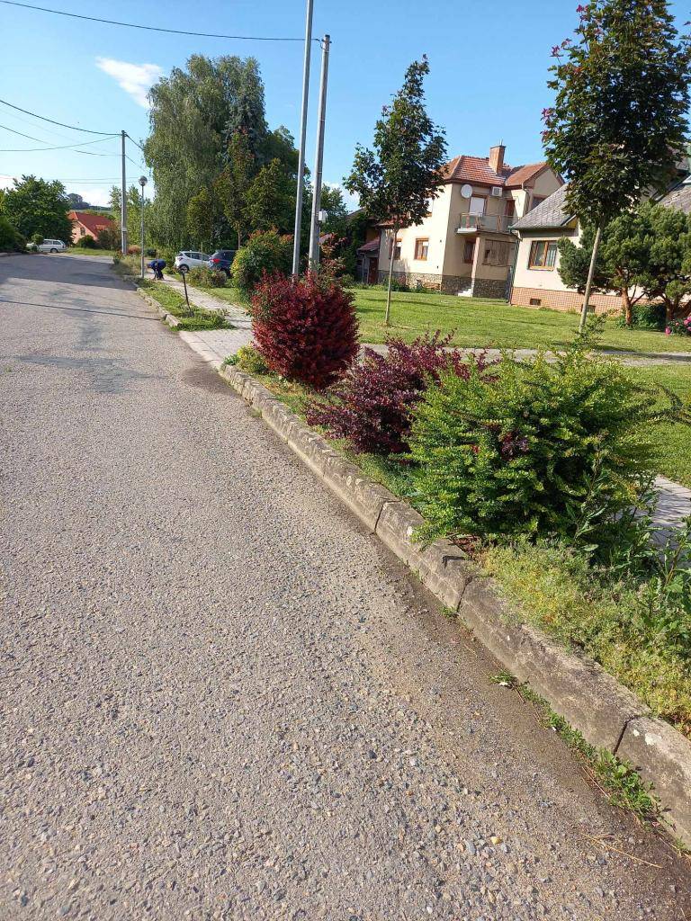 příprava na výsadbu