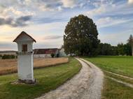 Trojiční lípa // "V letech 1831–1832 dorazila do Čech cholera. Ve Svinách rozdělili město na okrsky, přidělovali radní, omezili pohyb, zvětšili hřbitov. Doktor Jan Soukup odmítal chodit k nemocným, úmrtní listy psal od stolu, vymlouval se na nemoc, radil větrat a spoléhat na přírodu. Lidé se modlili, obraceli se k bylinkám a božím mukám. Když nepomohly prosby, ostrakizovali ho – nedostal chleba, maso, ani pivo. Po setmění chodil tajně do Boršíkova, kde mu jediná hostinská uvařila. Jednoho večera ho lidé zadrželi u cesty u kostela Nejsvětější Trojice a dovlekli do hospody. Nezbili ho, ale nutili ho léčit. Vodili ho od domu k domu. Poradil, jak pečovat o nemocné. U čtyřletého Jana Kyslíka se rozplakal, když dítě právě umíralo.

Brzy nato sám onemocněl. Ležel bez pomoci, litoval, že nedokázal být doktorem. Lidé mu poslali prázdný talíř a vzkaz: „Ať pomůže příroda.“ V horečkách slíbil, že za každého, komu nepomohl, vysadí lípu. Počítal jména v matrikách, kreslil mapu stromů. Jednu lípu zakreslil k hospodě u Nejsvětější Trojice. Připsal: Za Jana Kyslíka.
Neví se, zda je sázel sám, ale epidemii zřejmě přežil – v seznamech mrtvých není. Ve Svinách lípy rostou dodnes, zdánlivě nahodile, ale na dosah lidem. Mapu sežraly myši, jméno Soukupa zapadlo, ale lípy zůstaly. ( Autorem příběhu Trojiční lípy je spisovatel Jan Štifter)

Nominován velkou komunitou - vedle Město Trhové Sviny se k nominaci připojila spousta spolků: Včelaři, Trhováček Trhové Sviny, Myslivecký spolek , Hasiči,Rybáři., Komunitní centrum, sportovní sdružení Rychlé Šelmy T.S. "