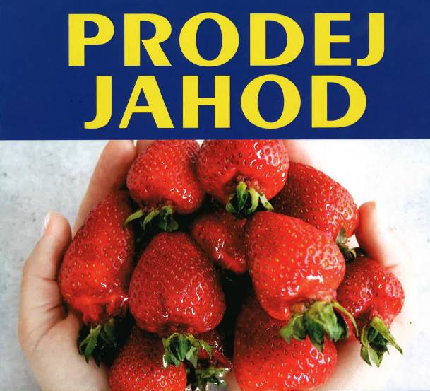 PRODEJ JAHOD v Poniklé, v pátek 6.6.2025
